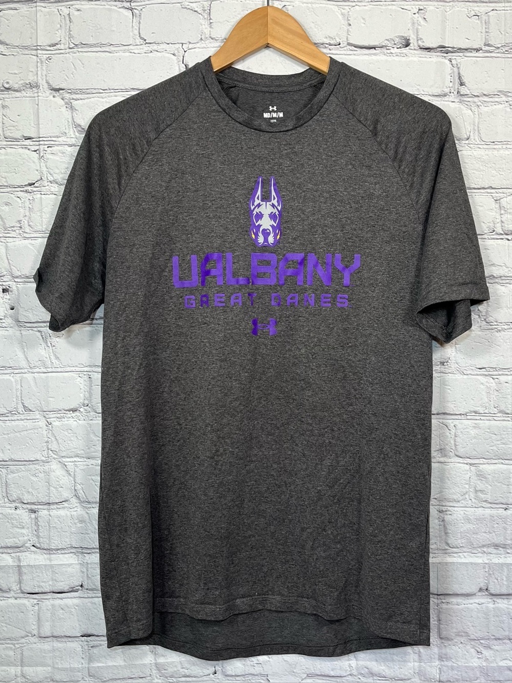 Under Armour University of Albany Great Danes T Shirt Mens Size Medium Gray